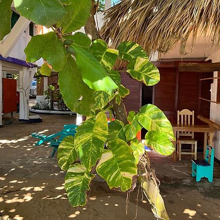 Bambu Ecocabanas San Agustinillo Luaran gambar
