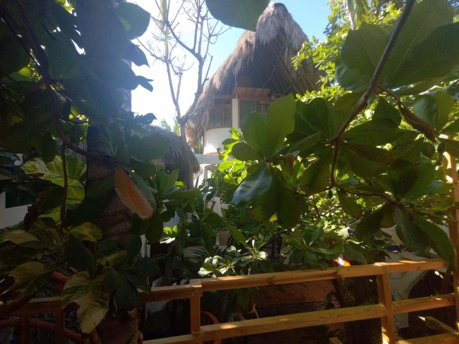 Bambu Ecocabanas San Agustinillo Luaran gambar