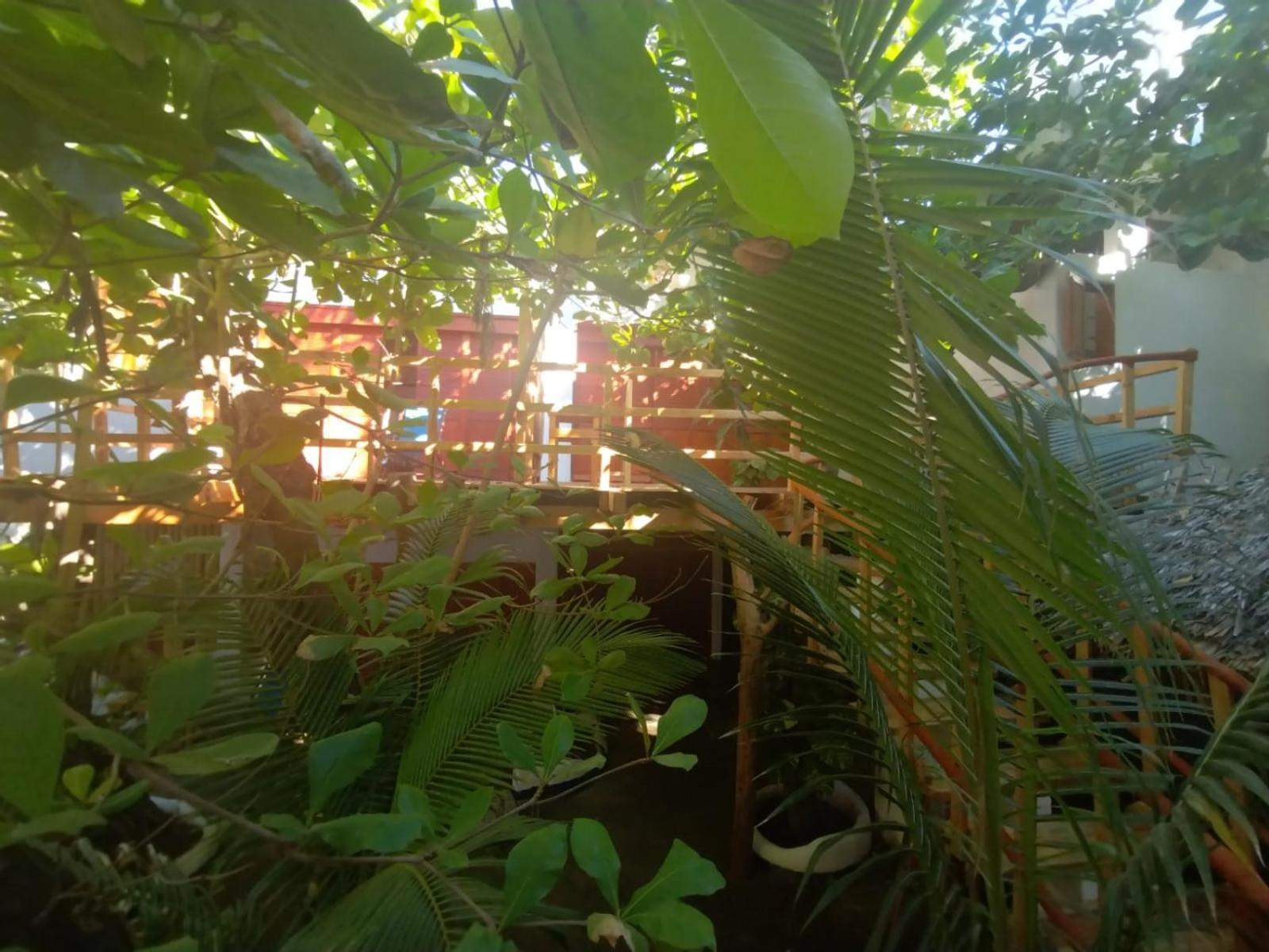 Bambu Ecocabanas San Agustinillo Luaran gambar