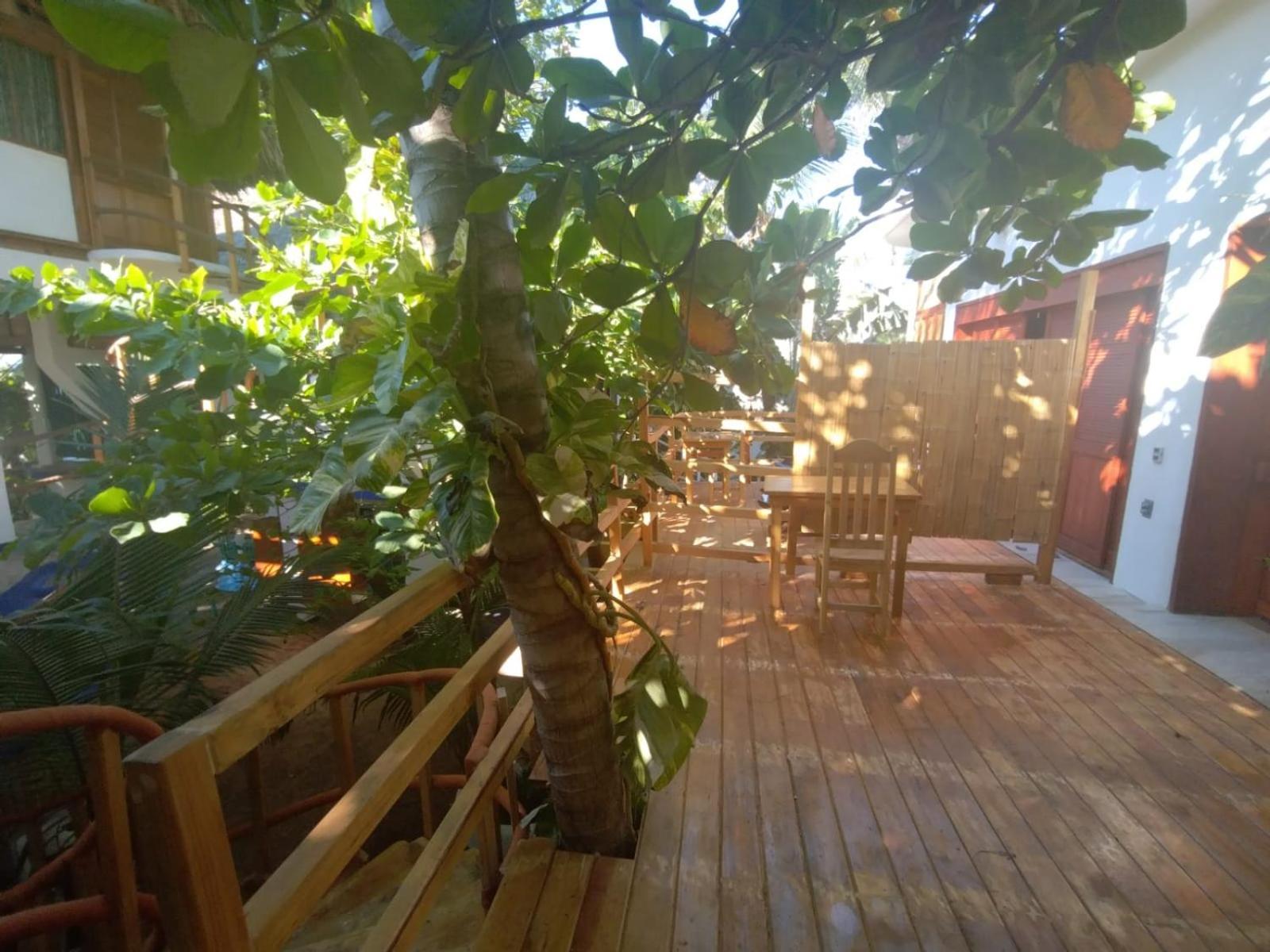 Bambu Ecocabanas San Agustinillo Luaran gambar