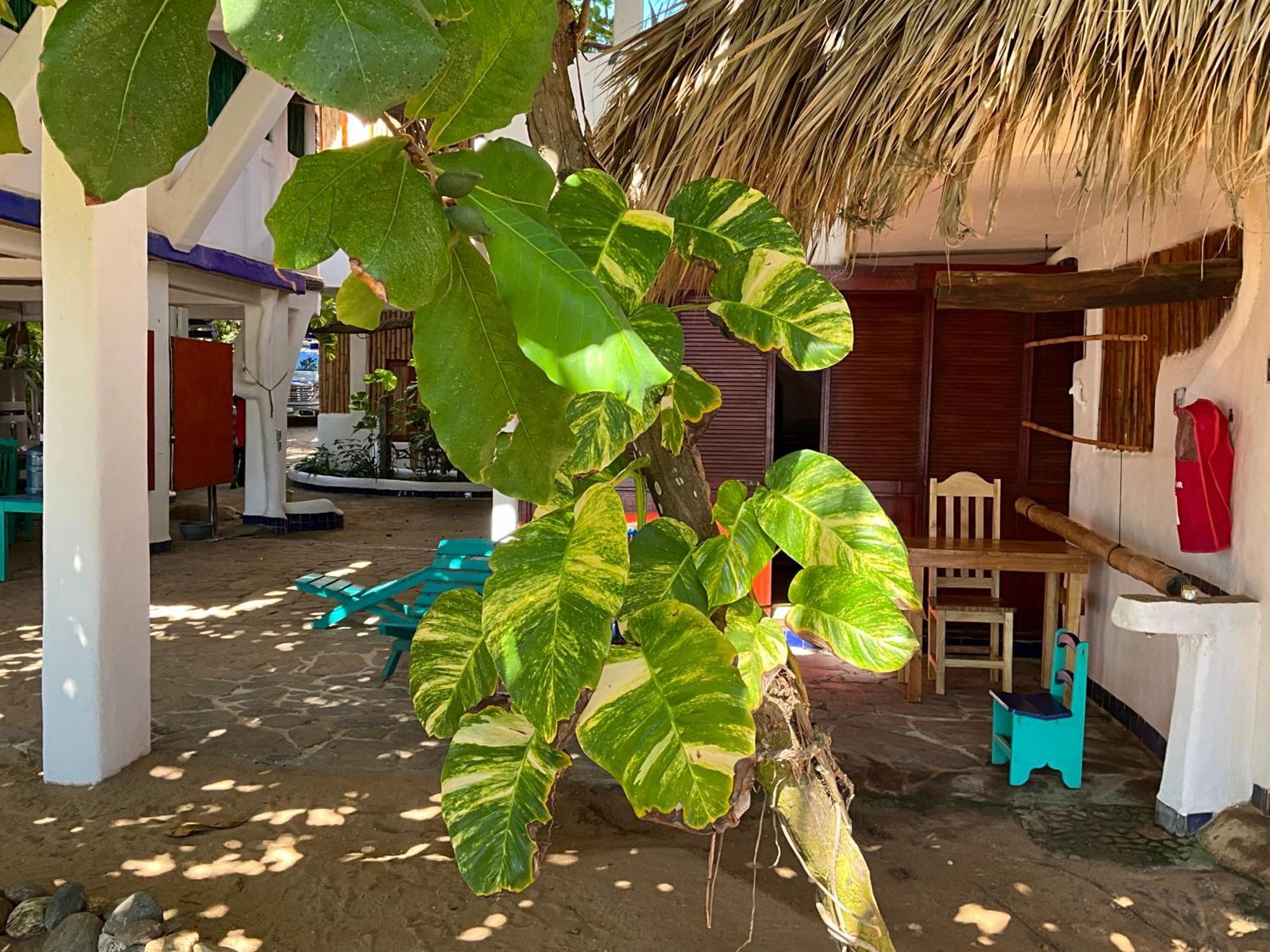 Bambu Ecocabanas San Agustinillo Luaran gambar