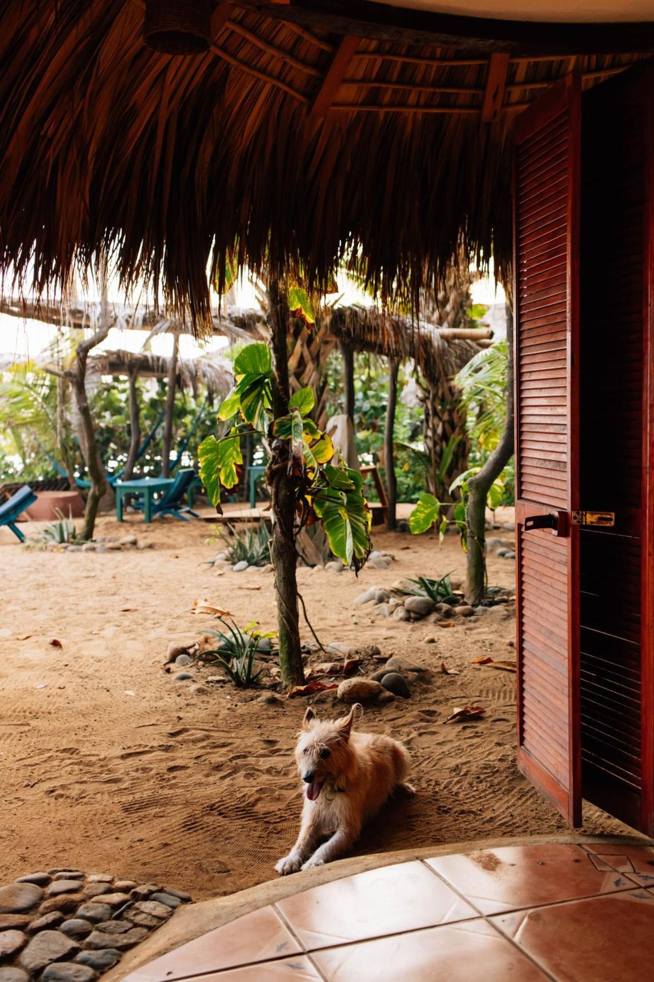 Bambu Ecocabanas San Agustinillo Luaran gambar